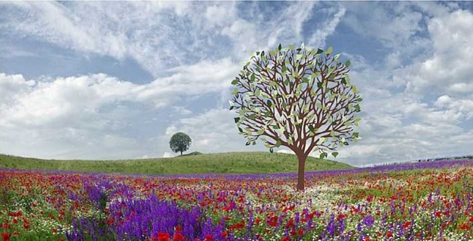 one of the beautiful website images featuring the Sykes & Co tree logo
