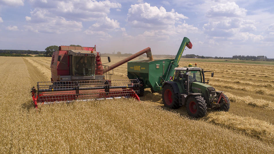 It's not just about crops and livestock anymore. Farm diversification is a real thing in our rural communities!