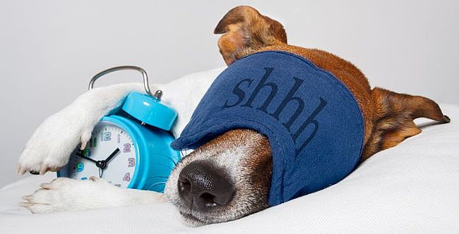 If you think your referral network is asleep, then it may be time to wake them up!